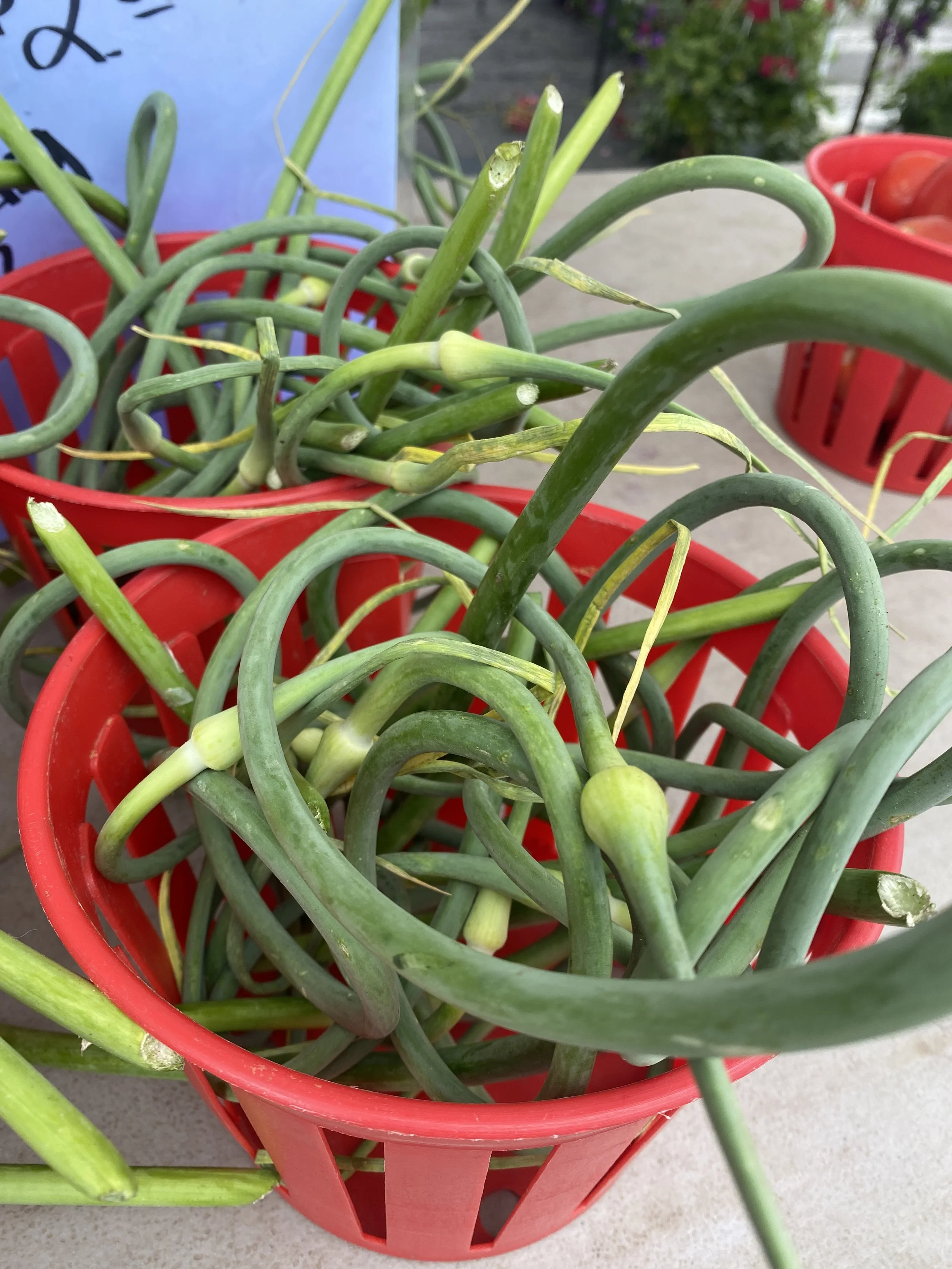 Robert Nogash's scape and feta cheese dip