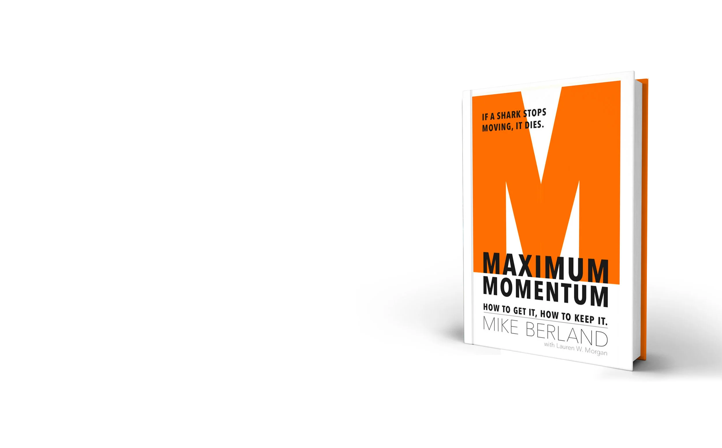Momentum_BookMockup2.jpg