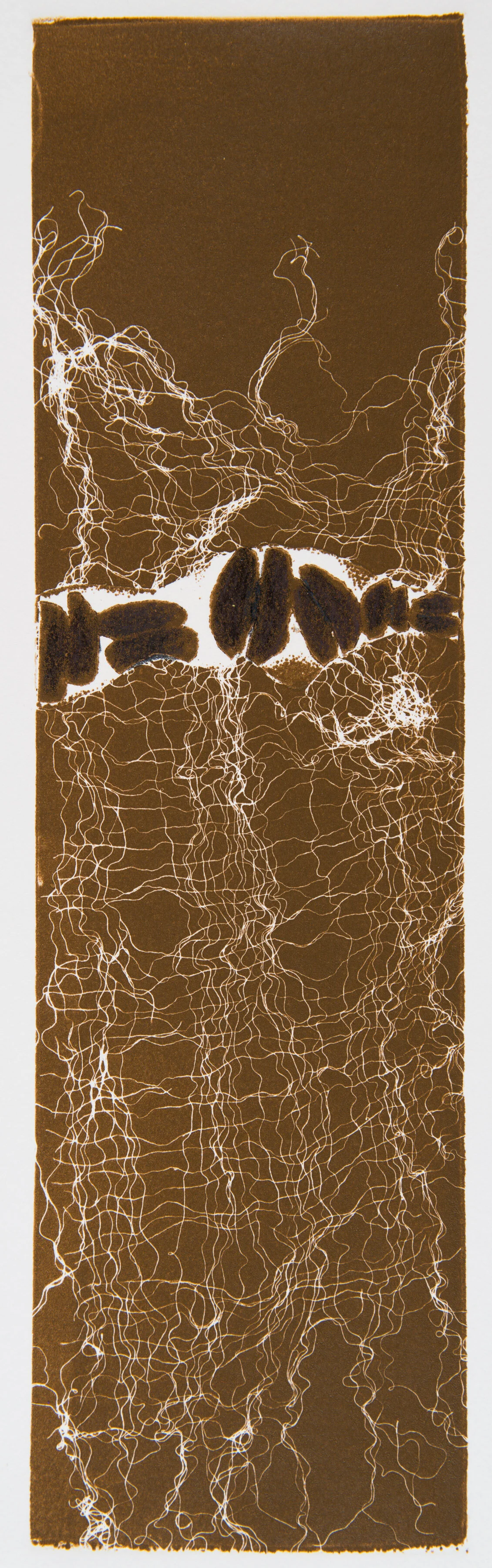 COFFEE BEINGS 35, #799, $195