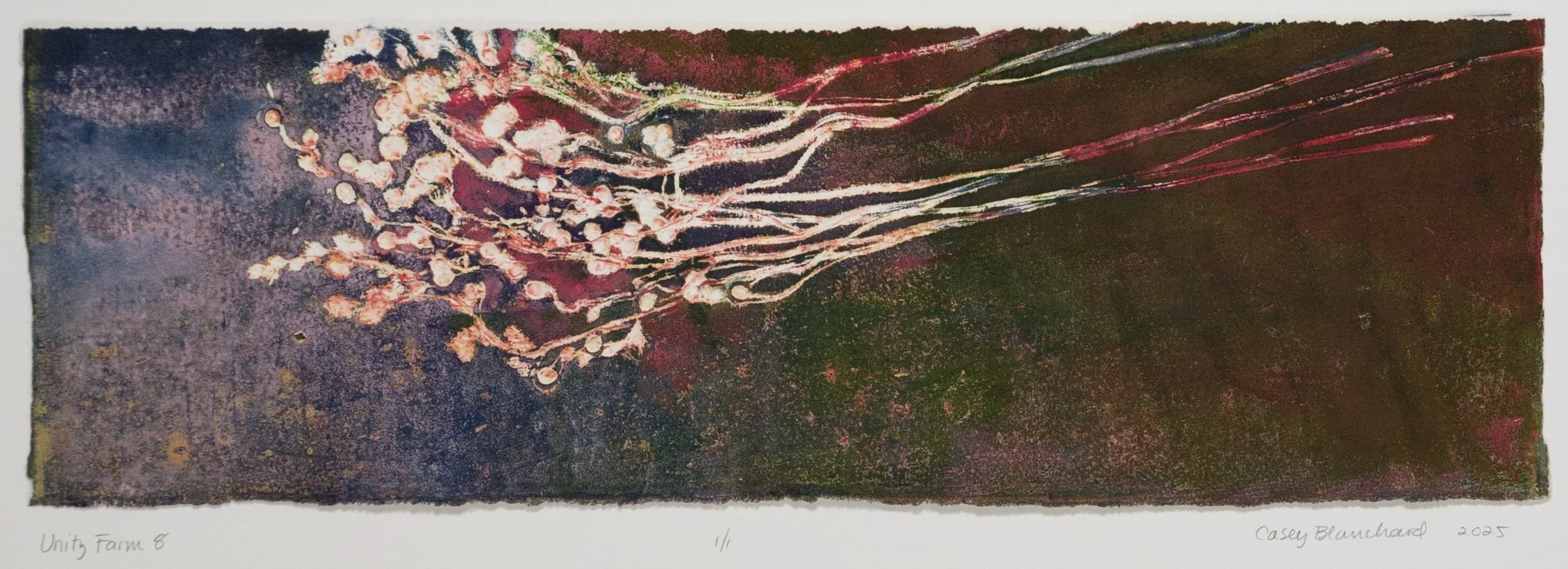 UNITY FARM 8, #1141, $595