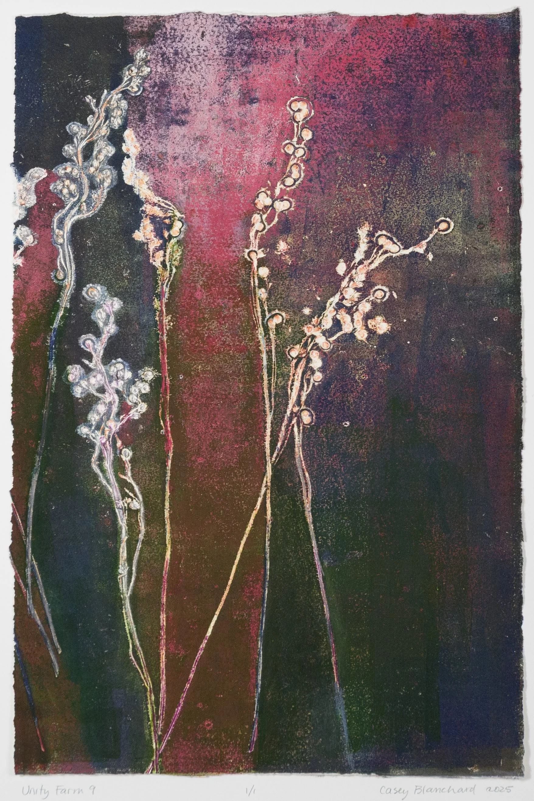 UNITY FARM 9, #1142, $895