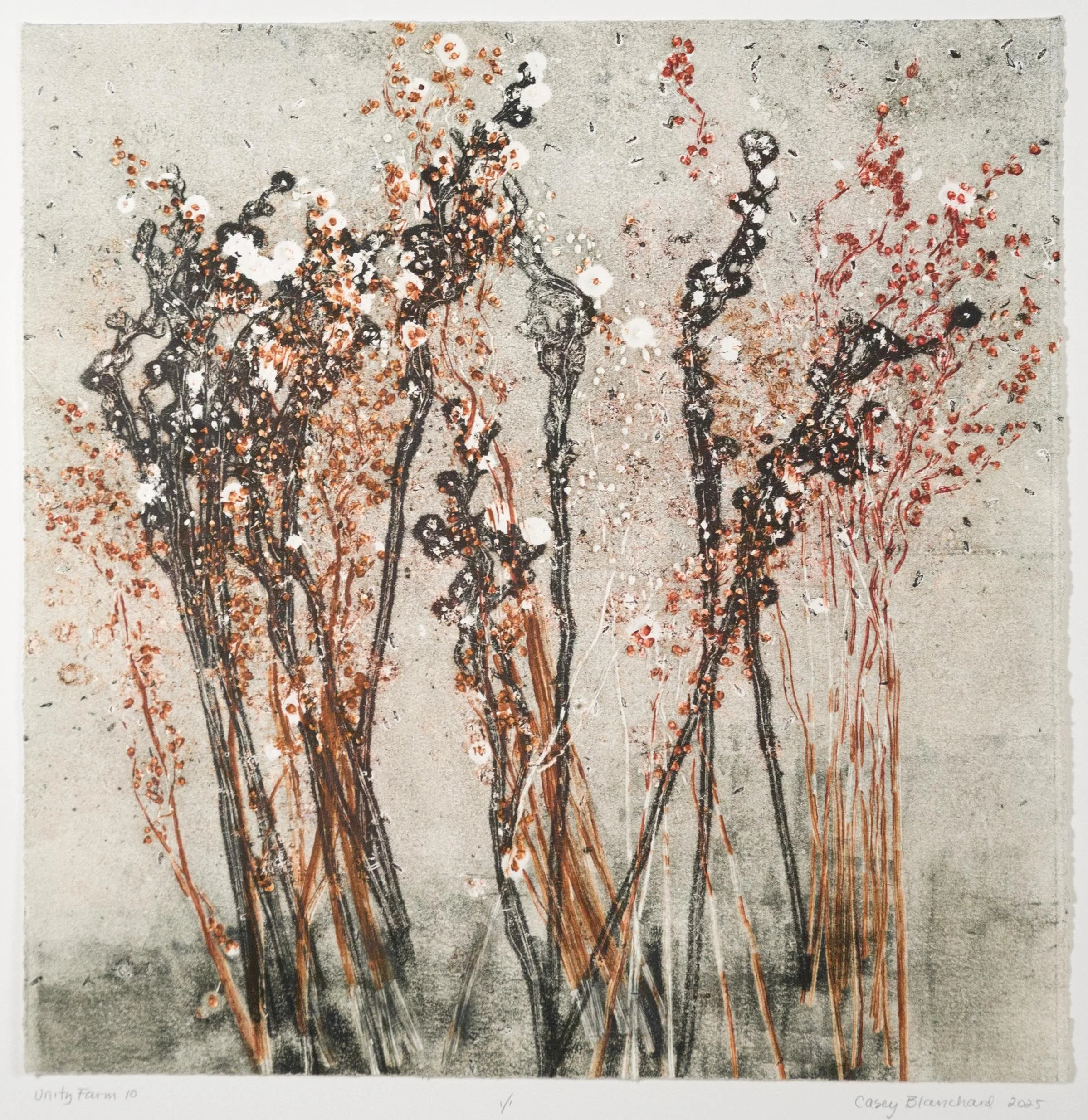 UNITY FARM 10, #1143, $995