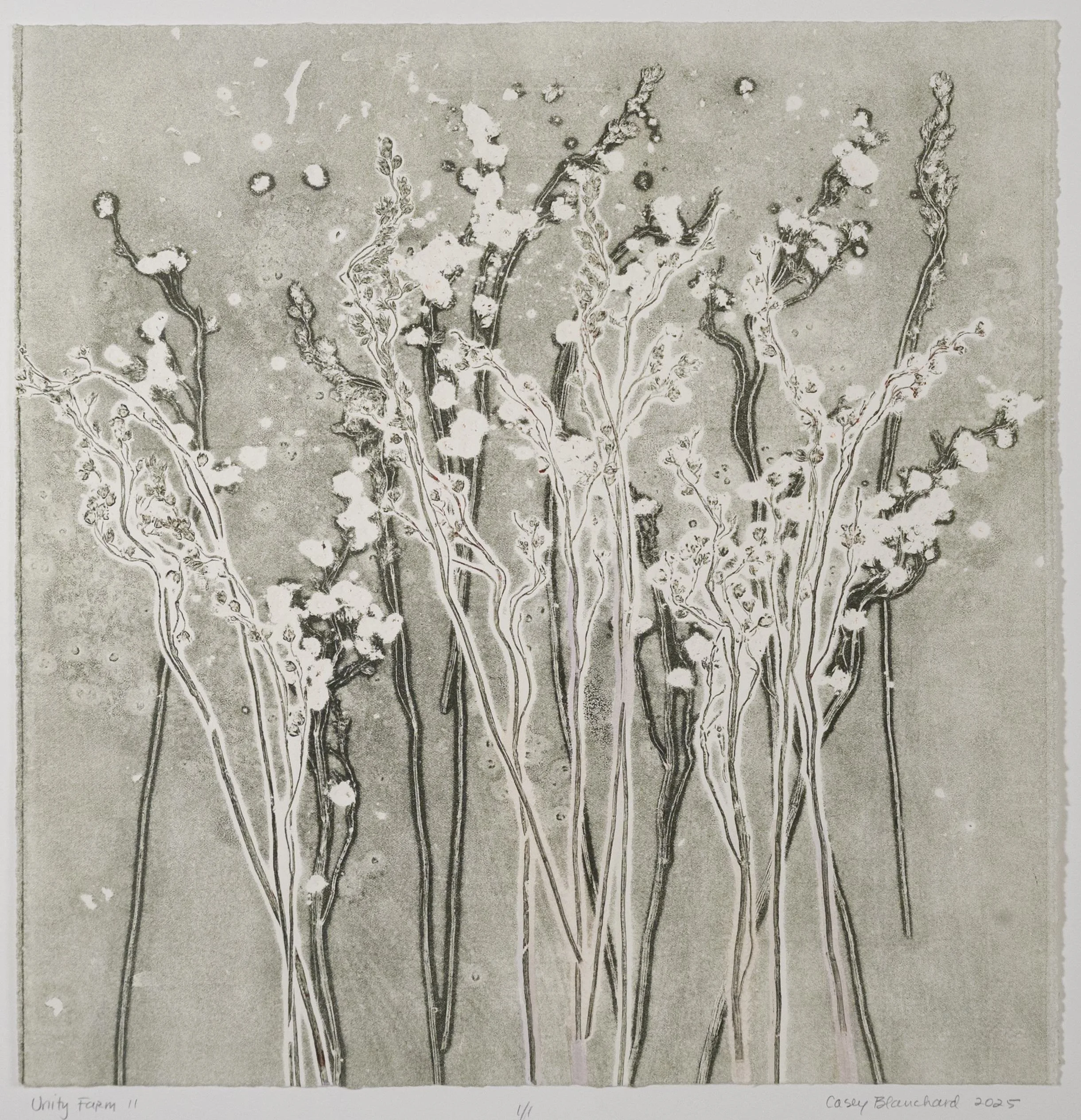 UNITY FARM 11, #1144, $995