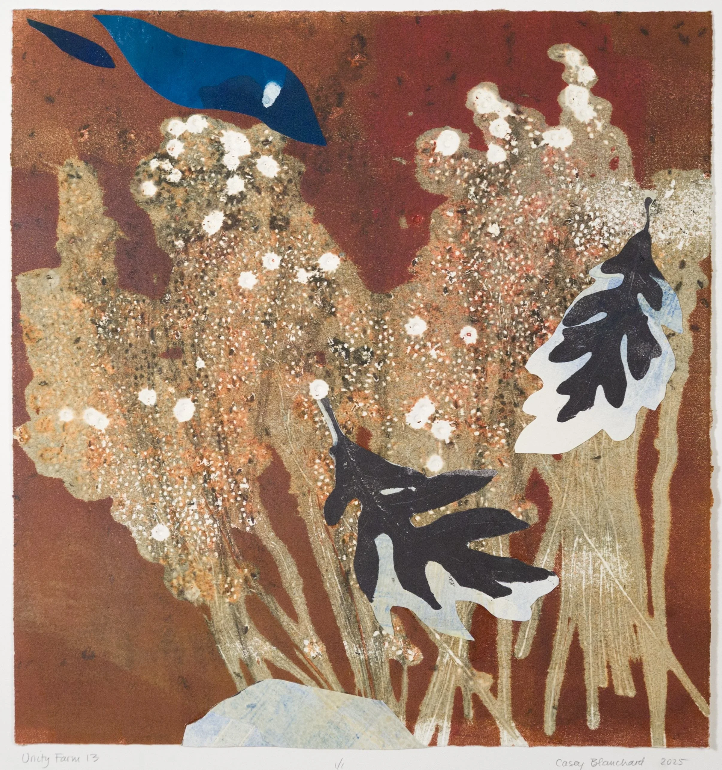 UNITY FARM 13, #1146, $995