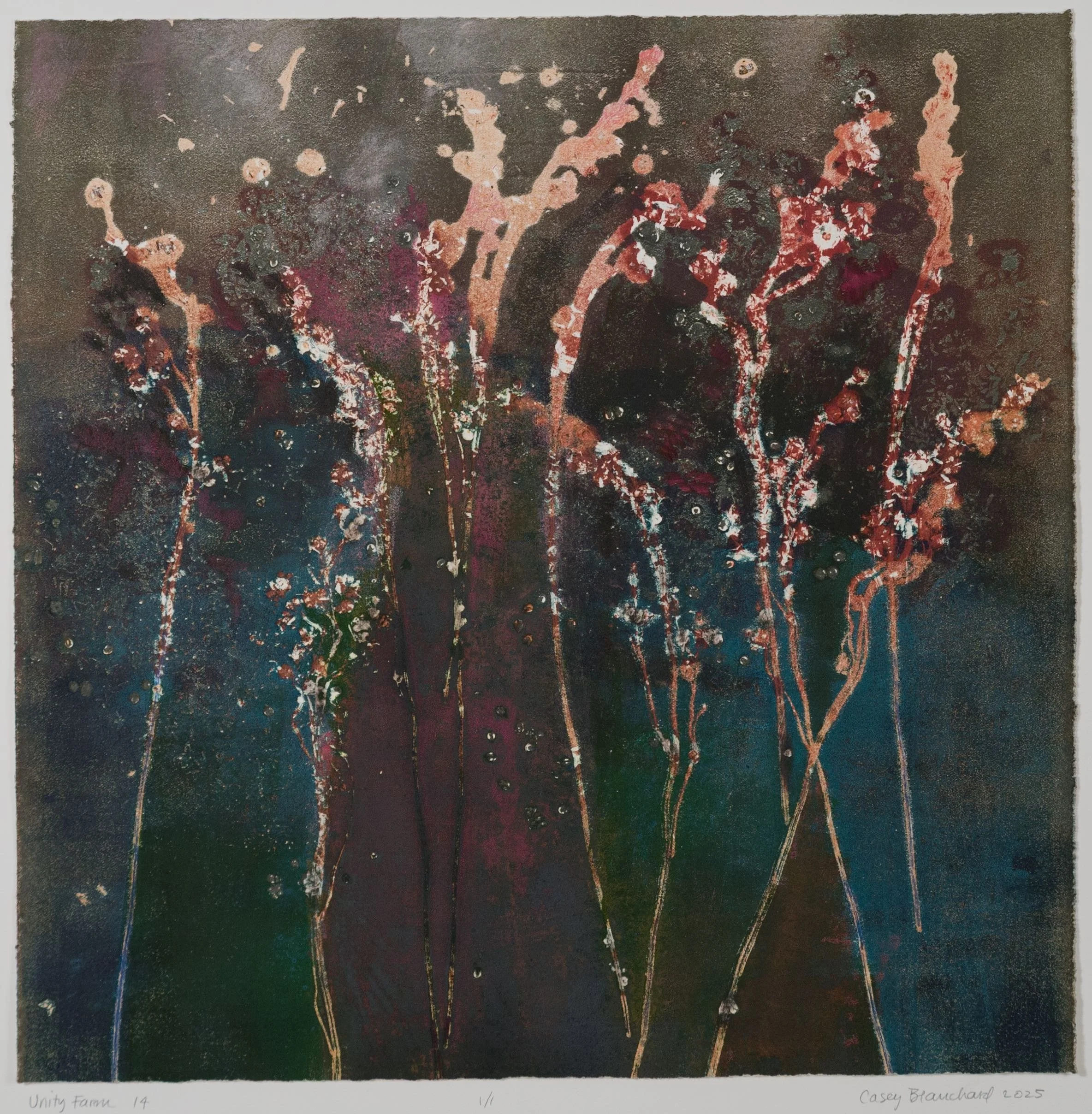 UNITY FARM 14, #1147, $995