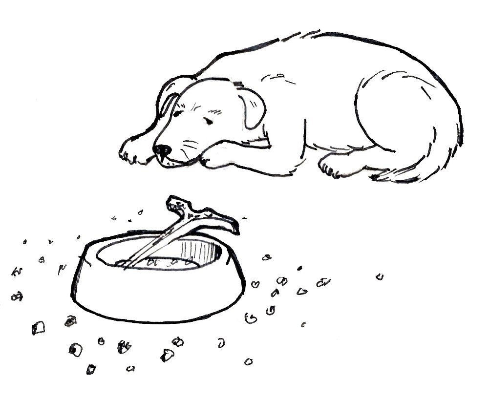Sketch of a dog laying next to an empty food bowl 