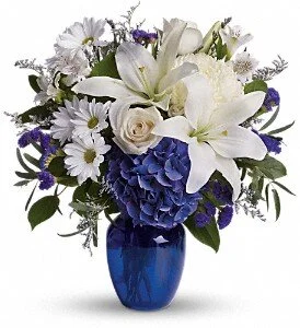 beautiful Blue.jpg