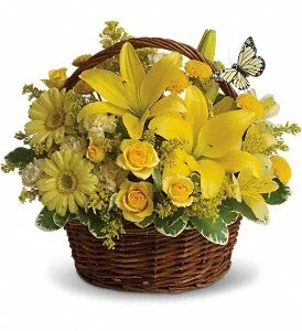 basket full of wishes.jpg