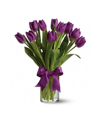fervente-purple.jpg