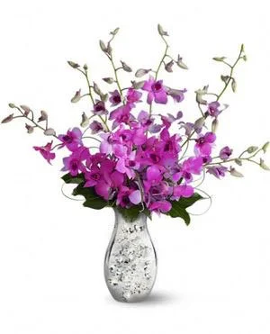 orchid+Reflections.jpg