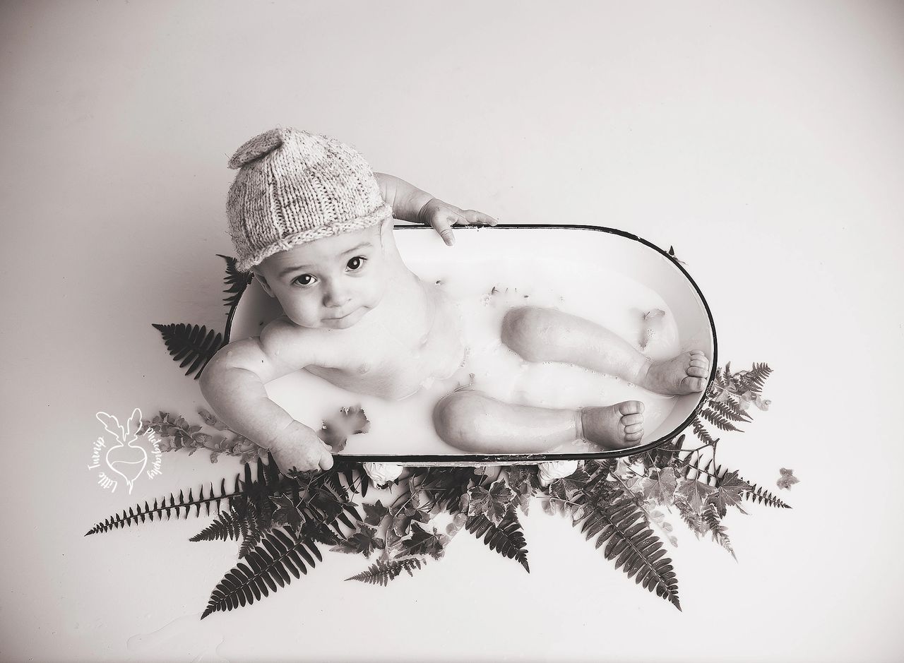 baby photographer harford county maryland