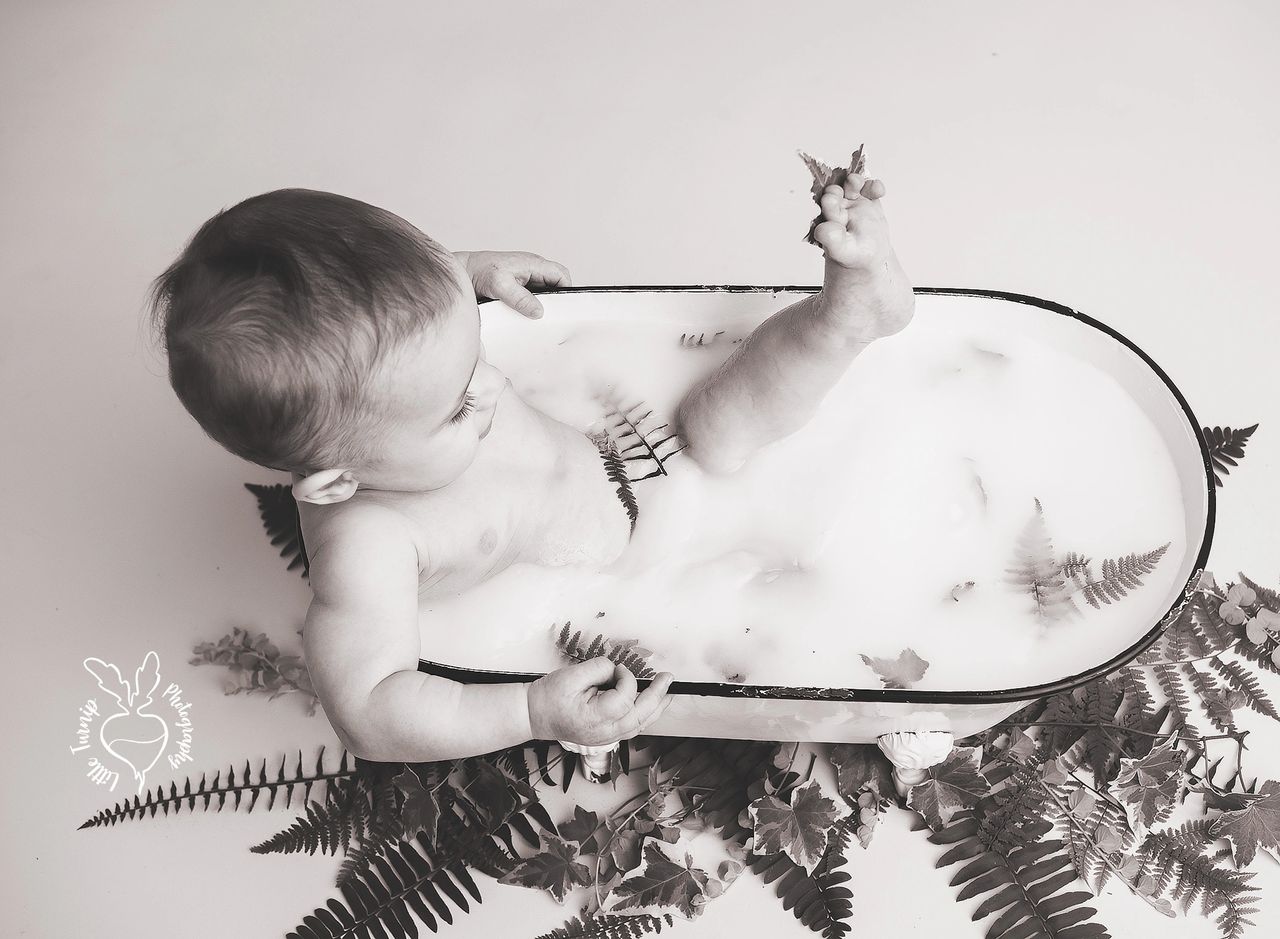 maryland baby milk bath photography