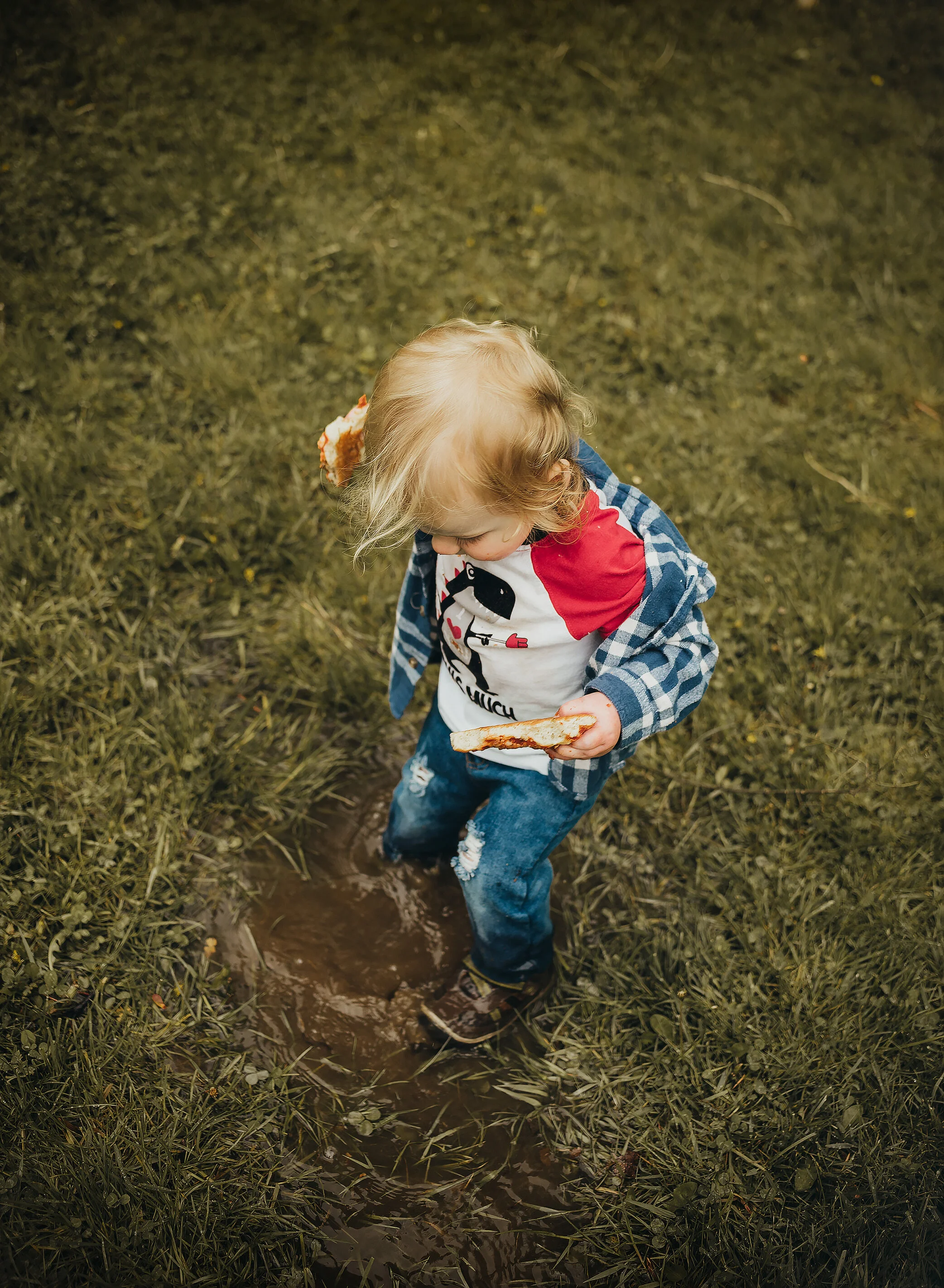 shrewsbury family photographer.jpg