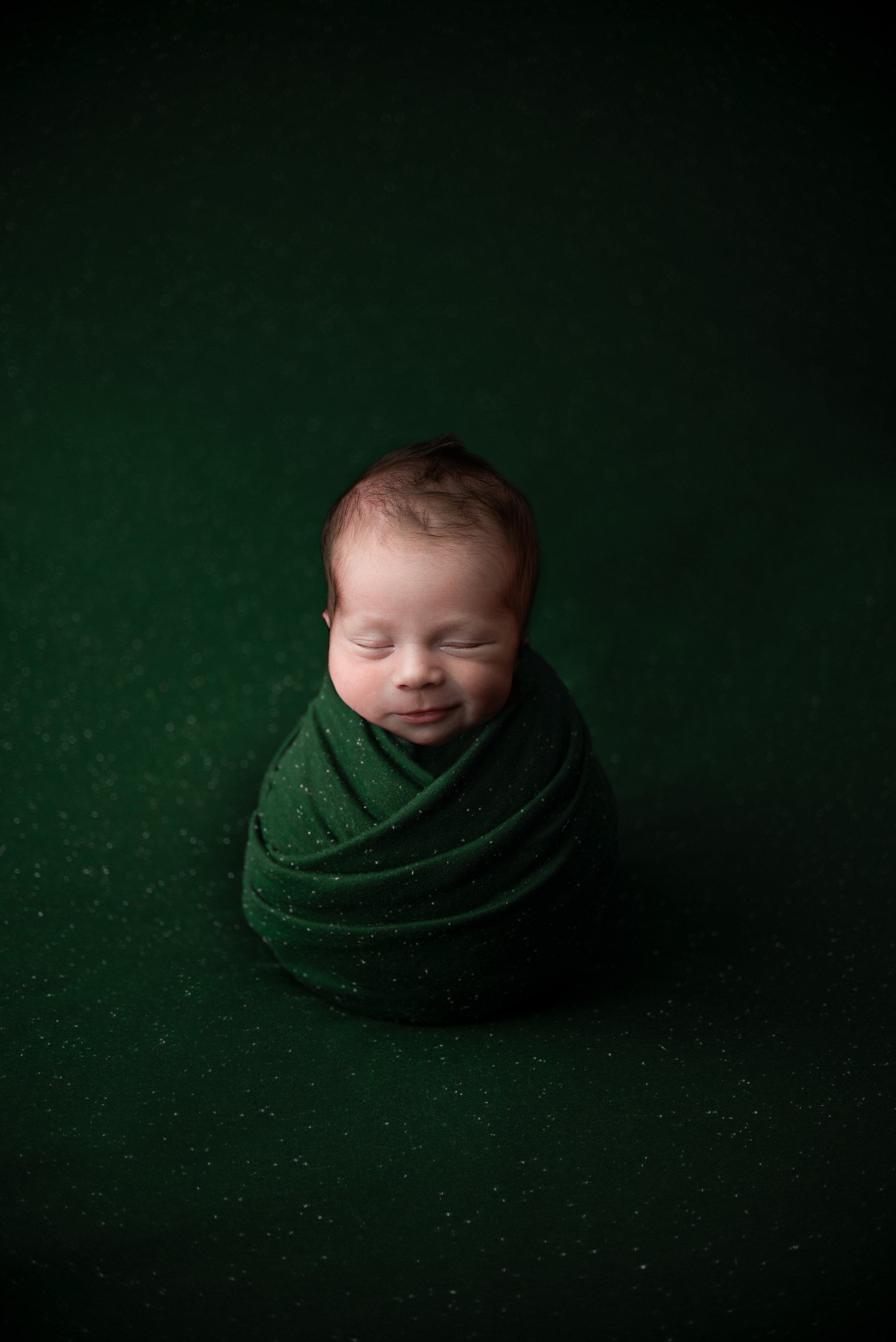 York County Newborn Photographer.jpg