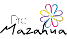 Pro.png