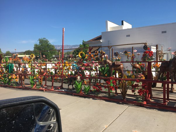 What to do in Hurricane Utah — Rooster Run Cafe