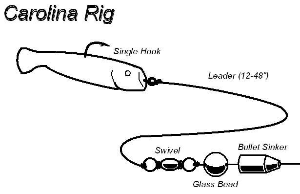 Carolina-rig.jpg