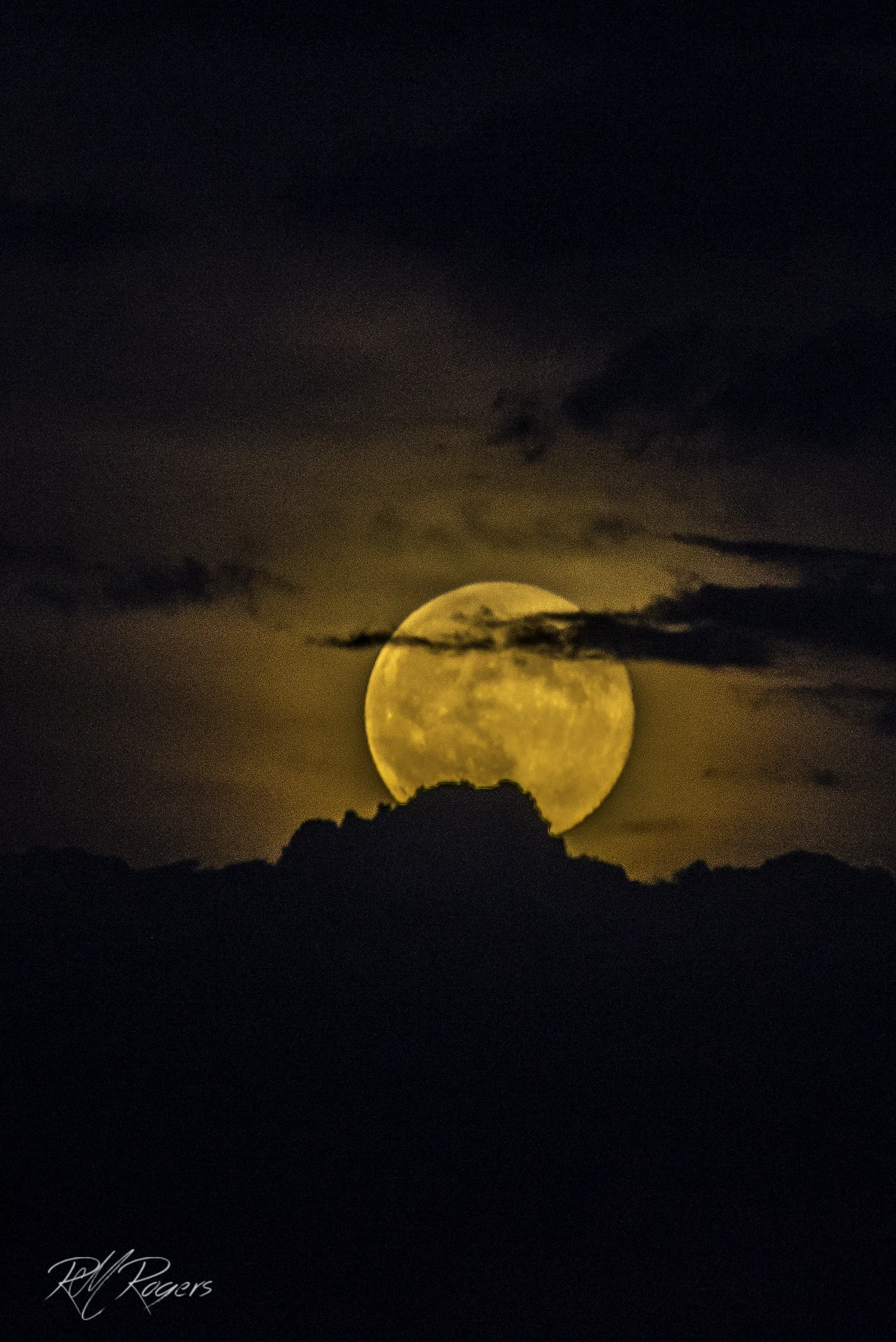 20140712-DSC_7646.JPG