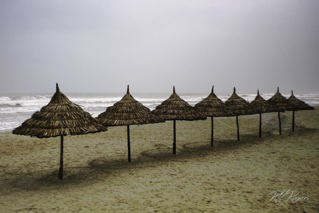 20110326-untitled861-2.JPG