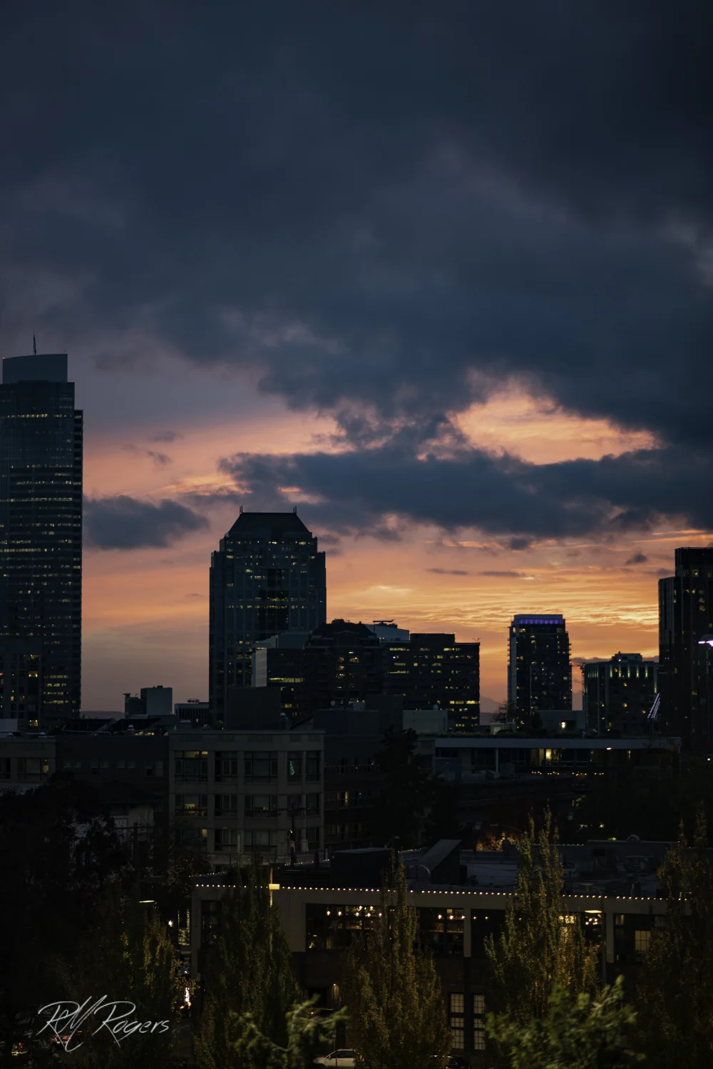 20181026-850_9572.JPG