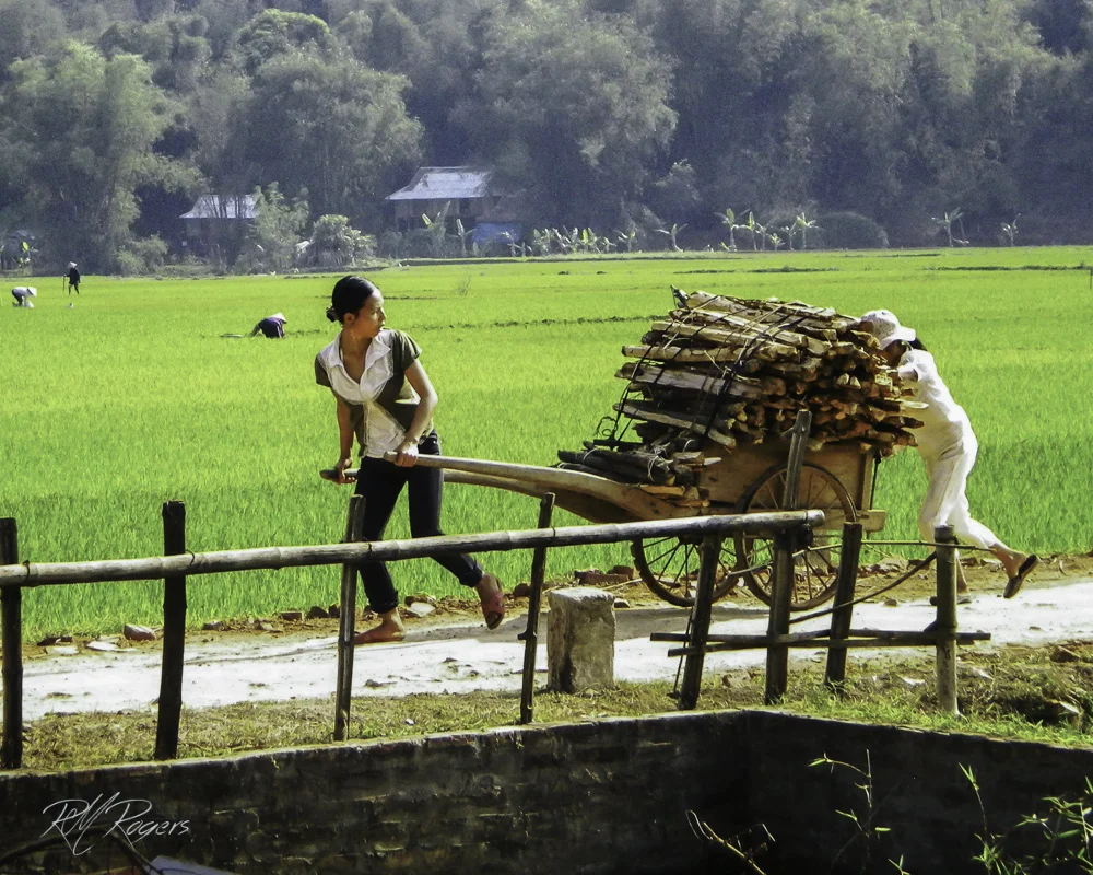 20110401-untitled1020-2.JPG