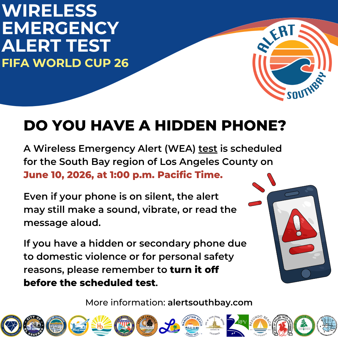 HIDDEN PHONE _ DV SAFETY GRAPHIC.png