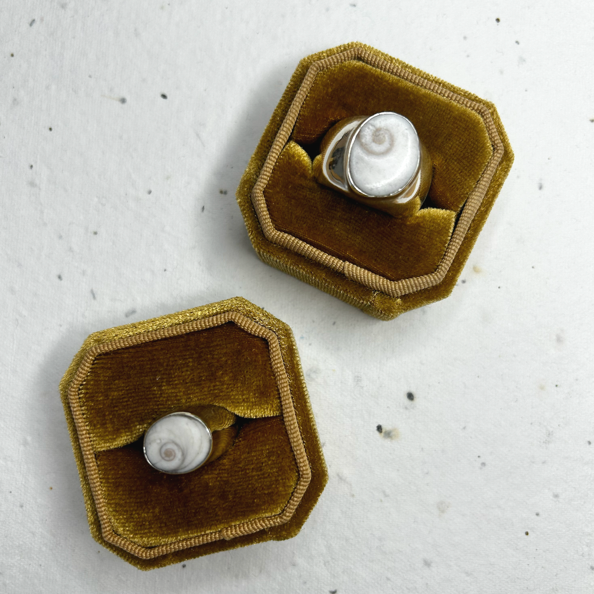 maalo-jewellery-bespoke-shell_signet_rings-his_and_hers-silver