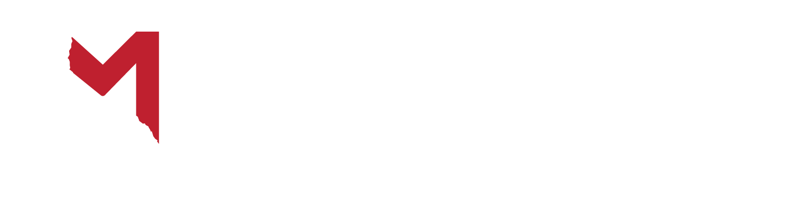 Landmark Environmental &amp; Demolition