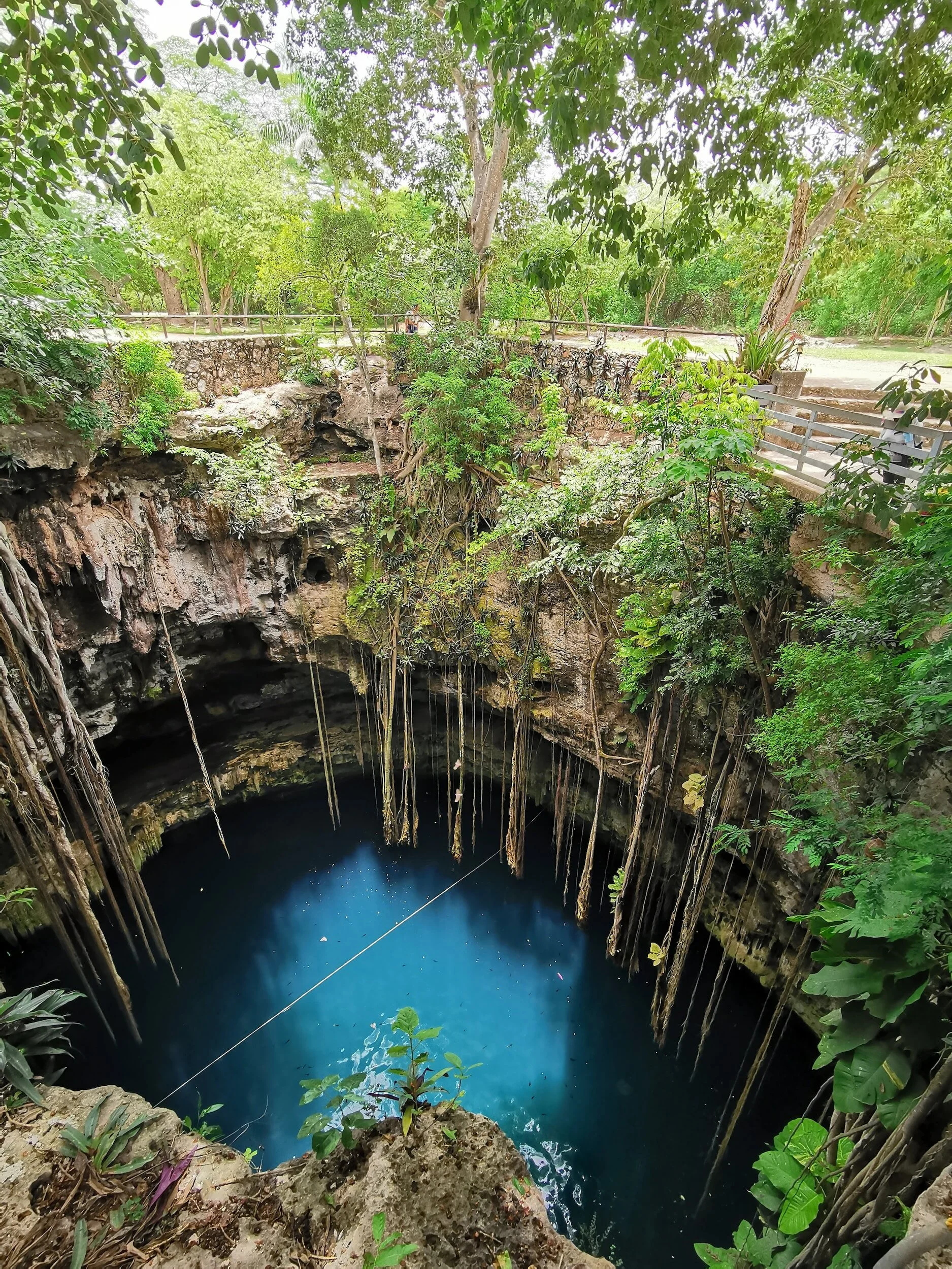 Cenotes of Serenity