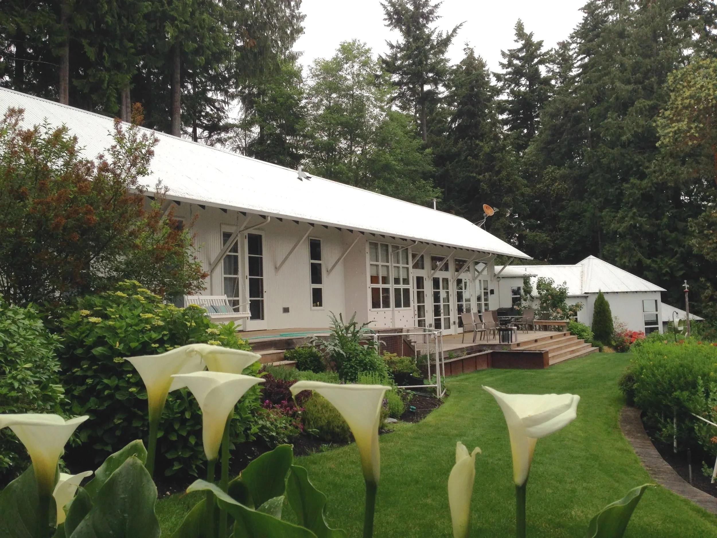 carlson Lavender Lane.jpg