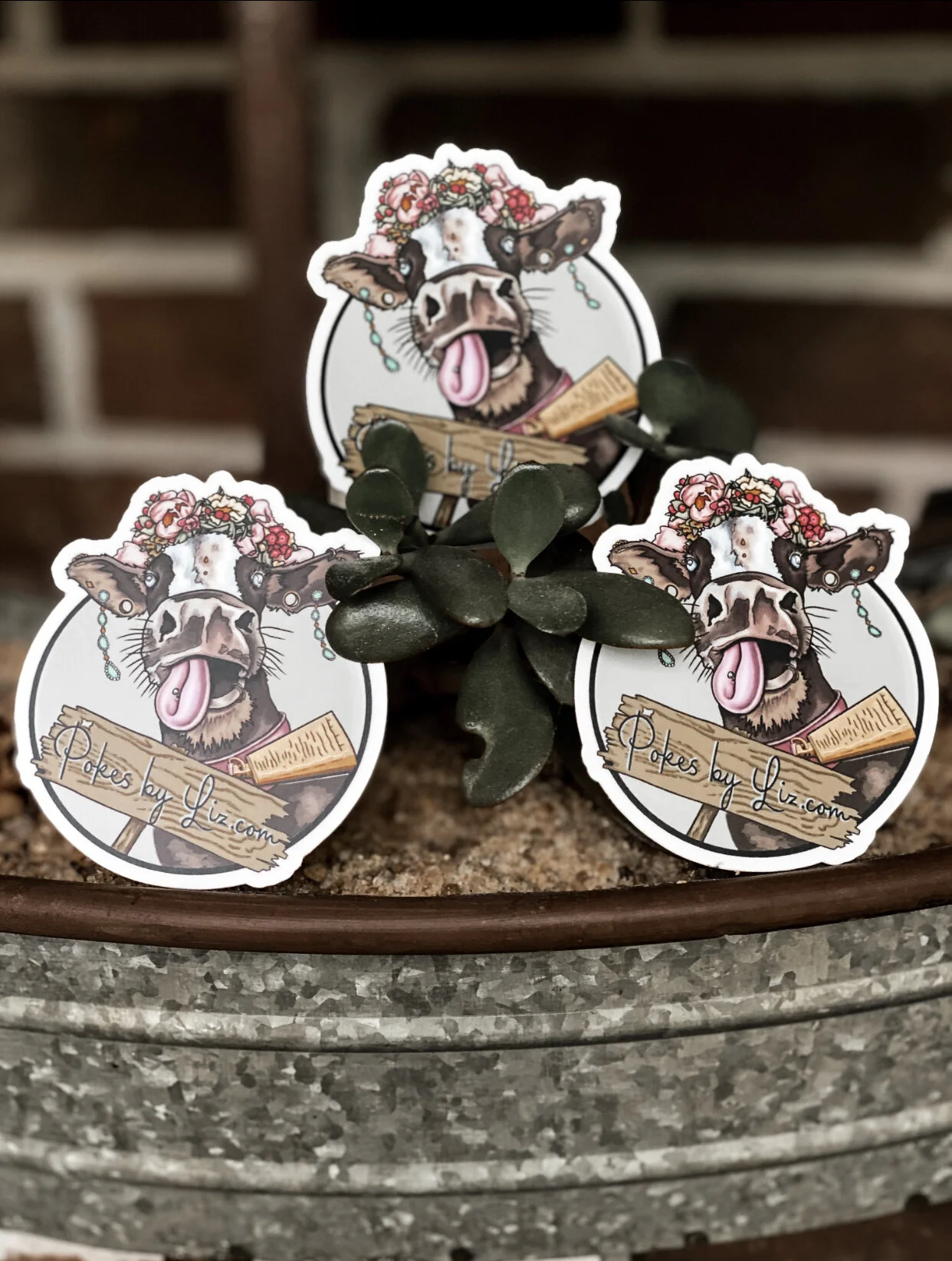 173FCE18-4203-4A8F-B53A-B536B7FA1783