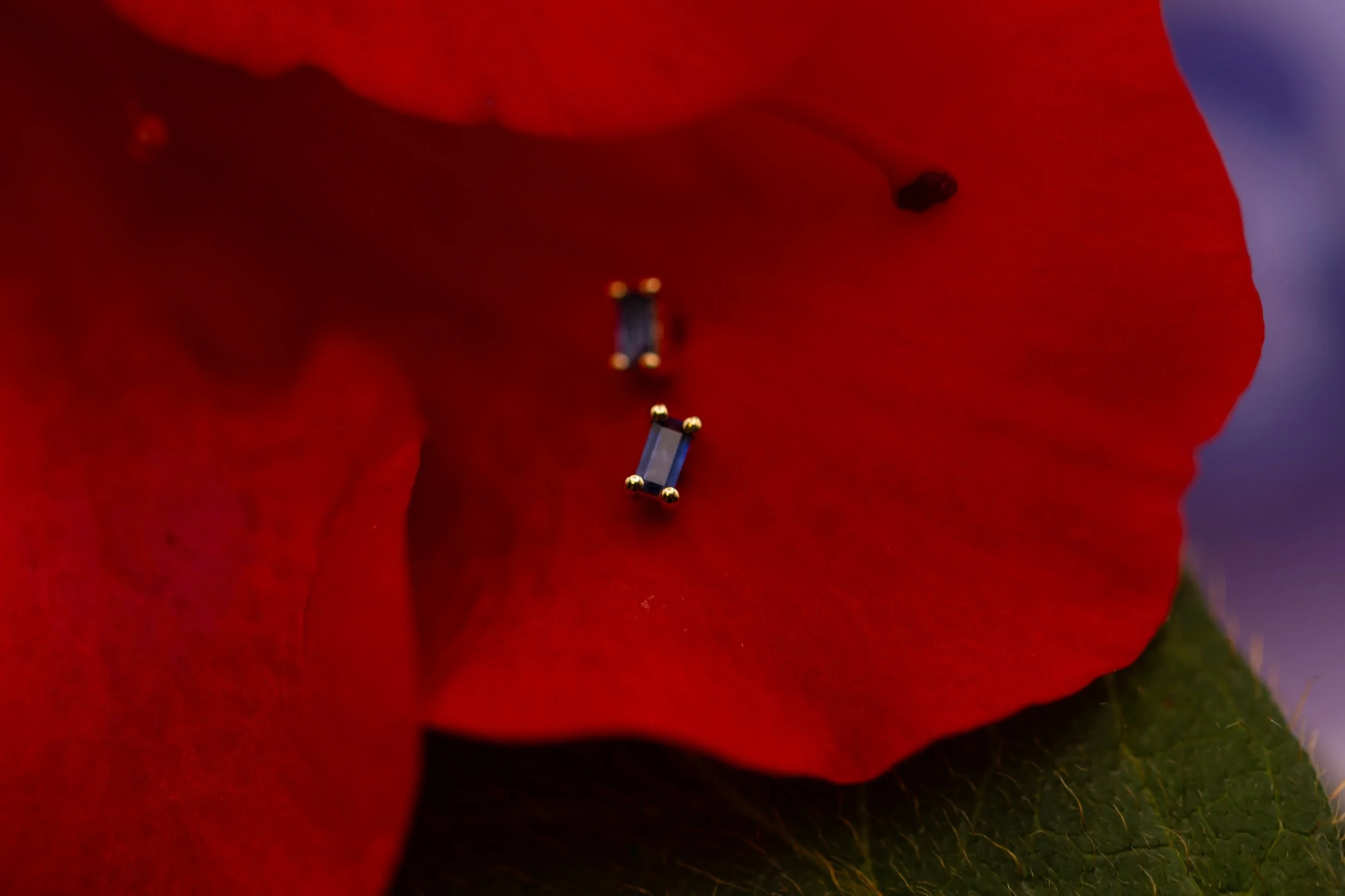 C71A3D0E-097E-49E3-A8BE-4B9492F79AEF.jpeg