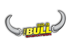 bull_logo.png