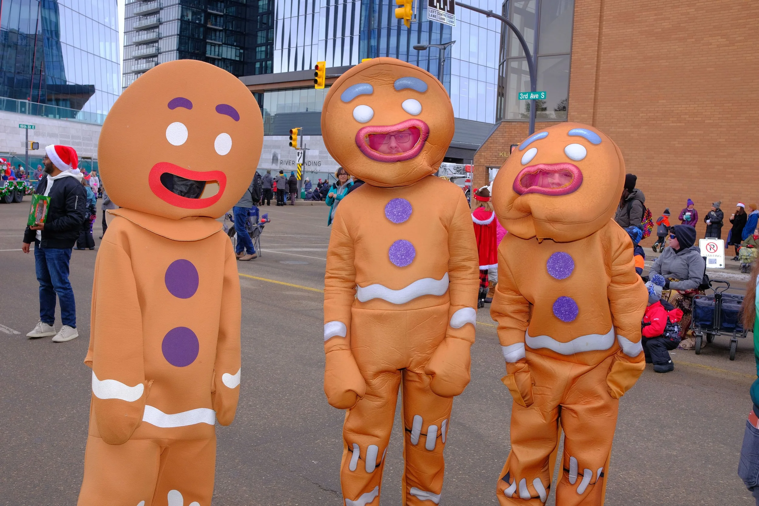 Brainsport Gingerbread-min.JPG