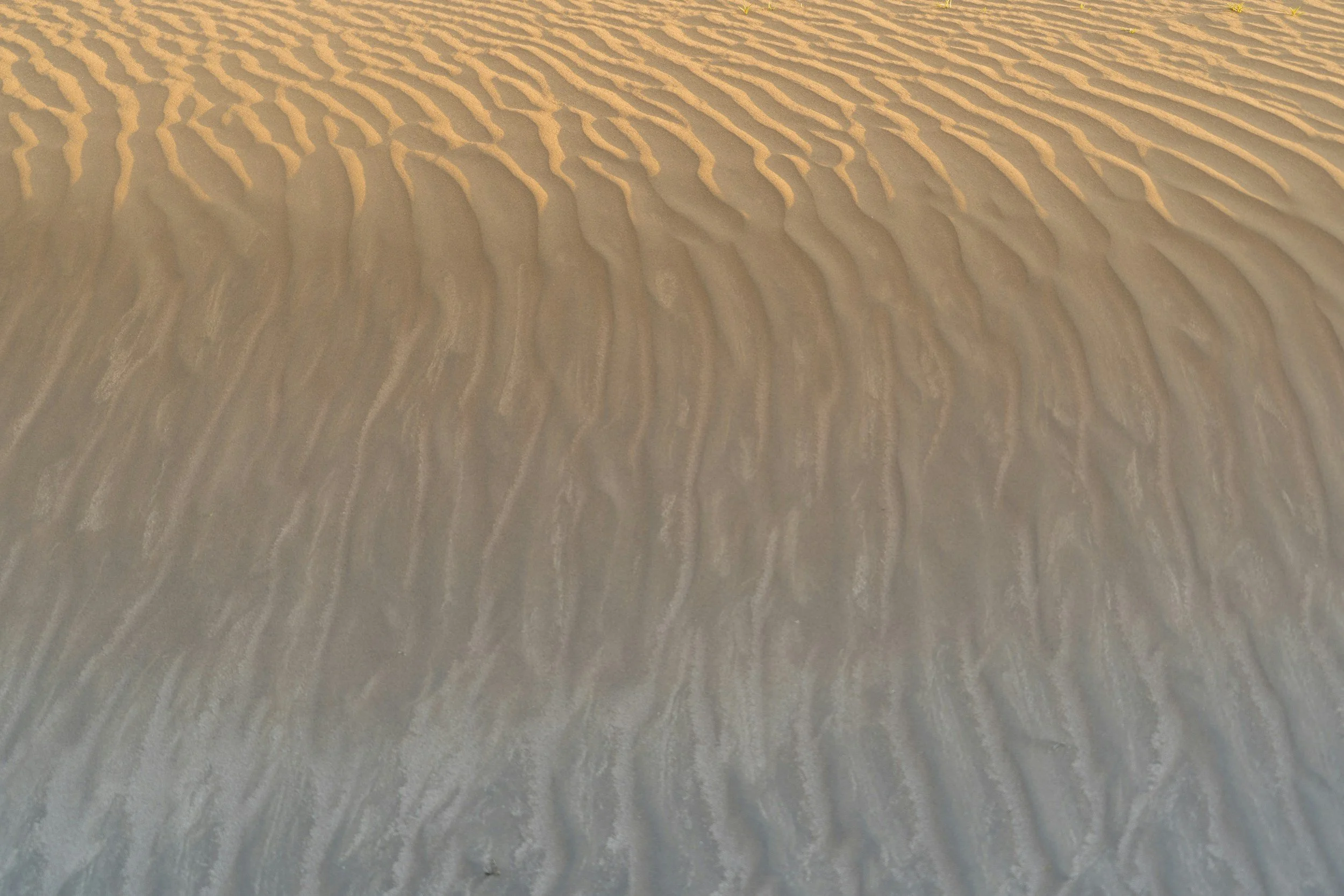 unsplash-image-SypLn1tM_gw.jpg