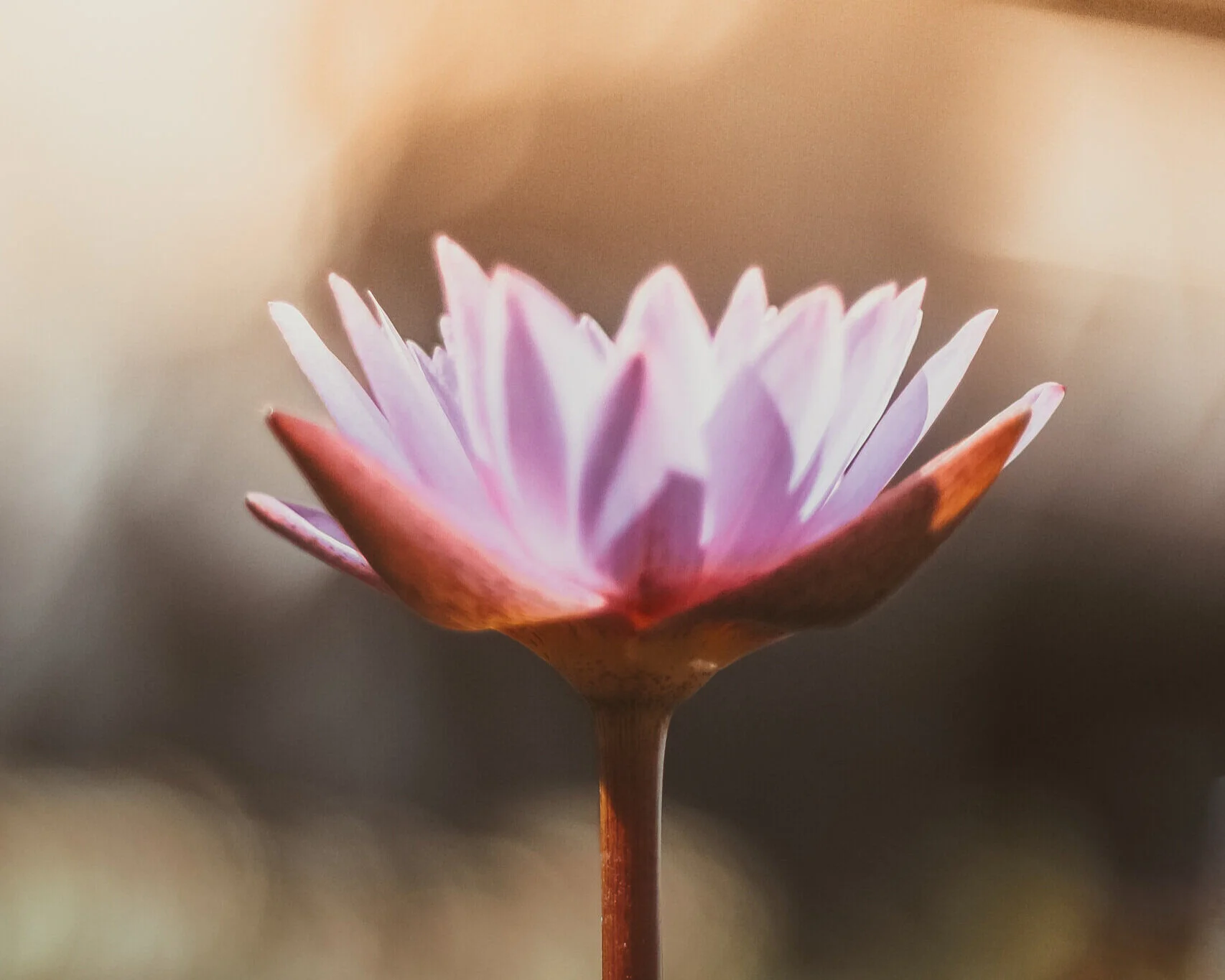 What a Difference a Week Makes