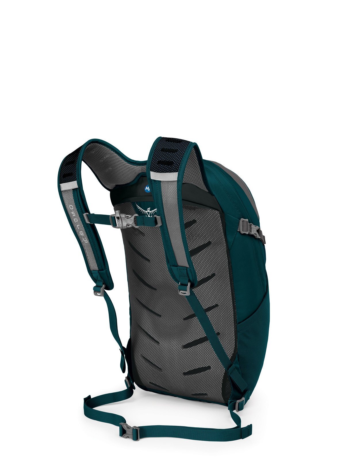 Petrol Blue Back