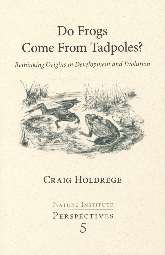 Do Frogs Come From Tadpoles The Nature Institute Do Frogs Come From Tadpoles The Nature Institute