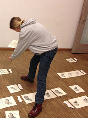 A student works at ordering skulls evolutionarily.