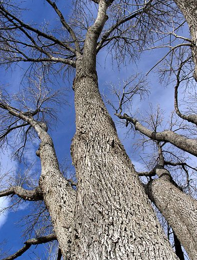 Screen Shot 2021-02-01 at 12.02.24 PM.png