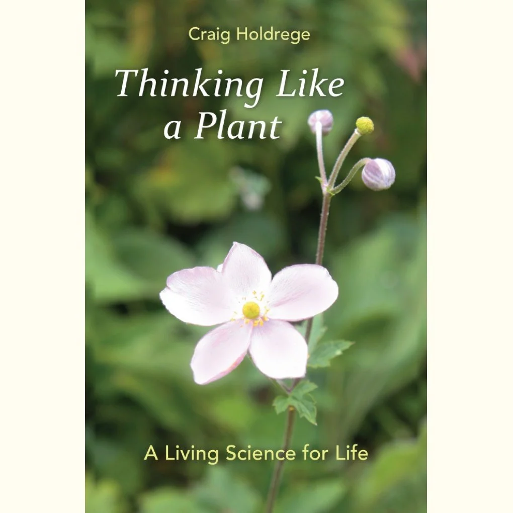 Thinking Like a Plant — A Living Science for Life