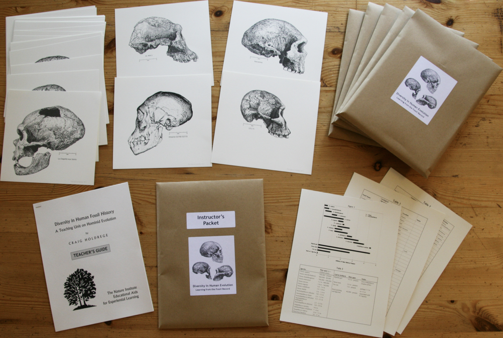 Diversity in Human Fossil History — A Teaching Unit on Hominid Evolution