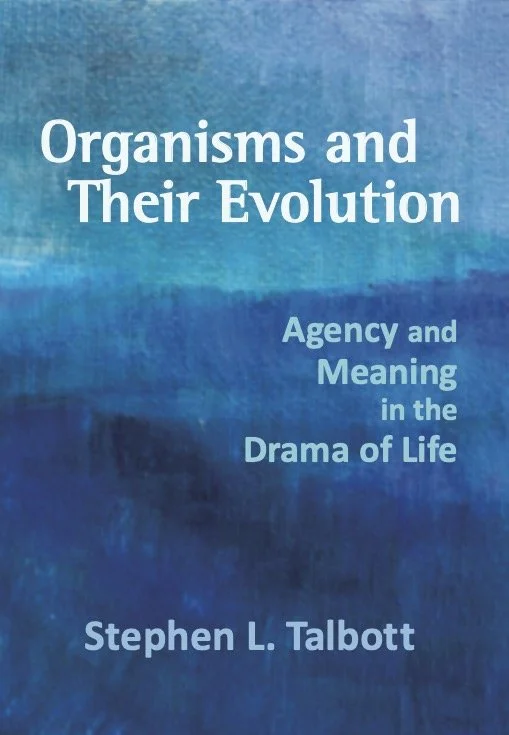 Organisms and Their Evolution: Agency and Meaning in the Drama of Life