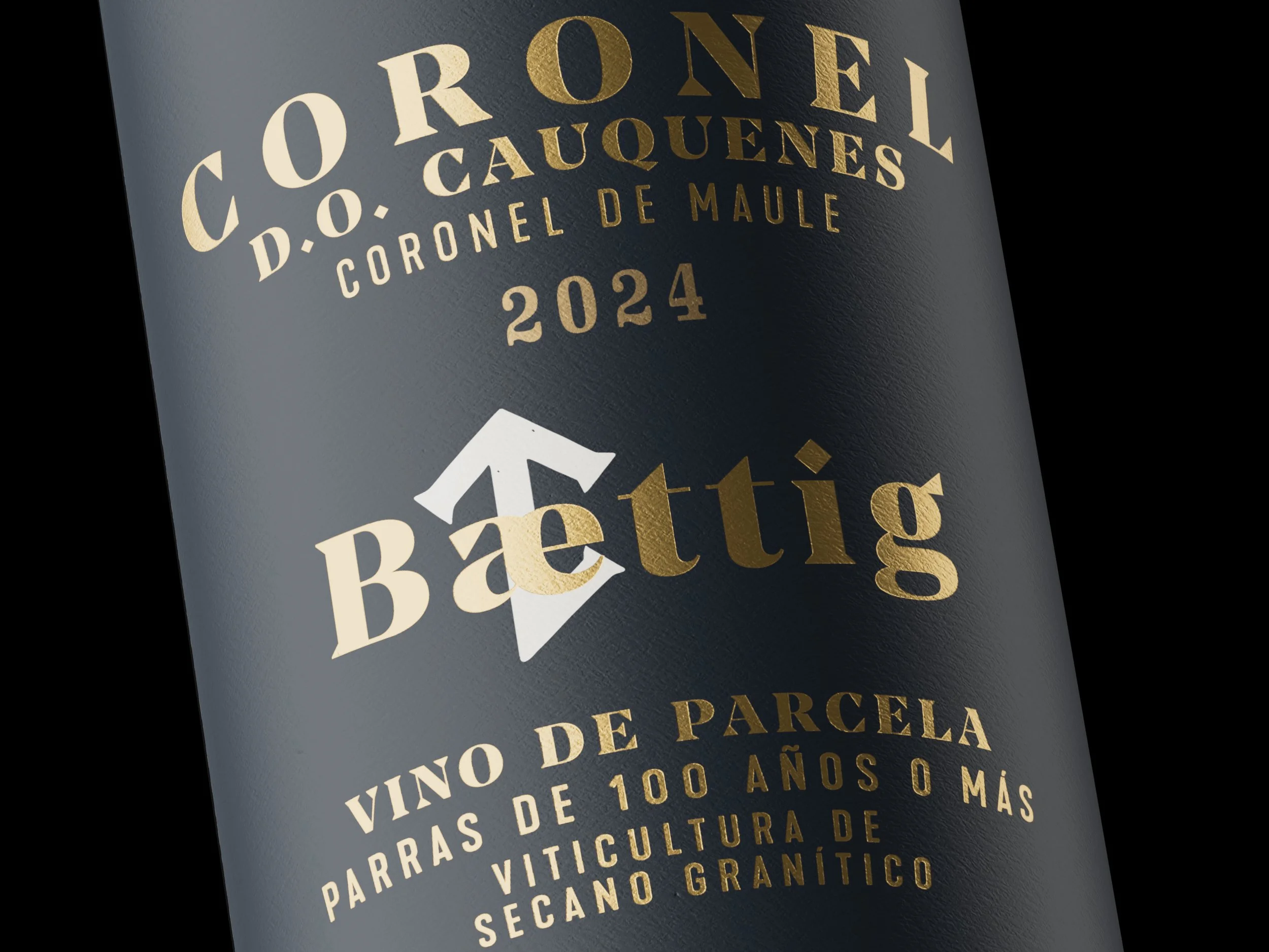 BAETTIG - CORONEL BS TEST 08x.jpg