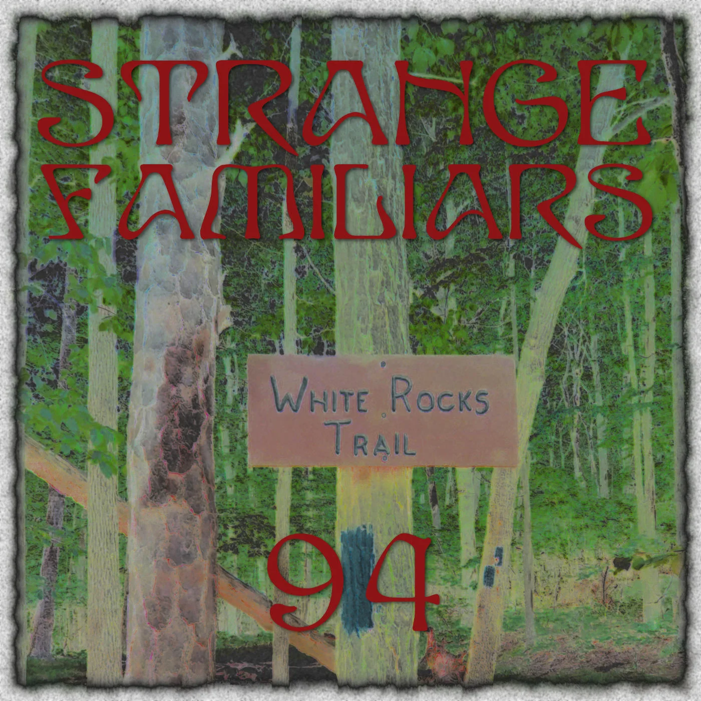 A Strange Day on White Rocks Trail