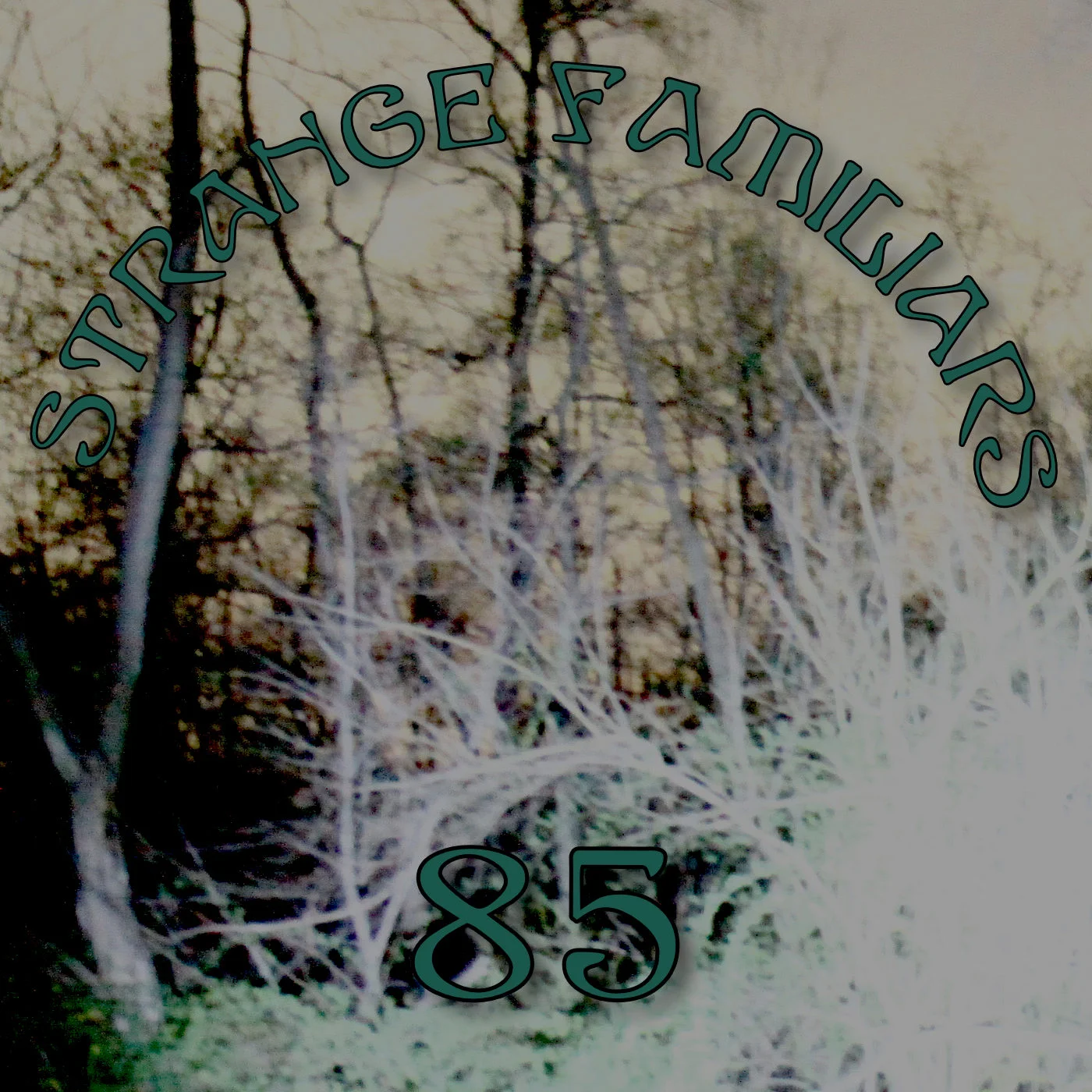 Sounds at Site 7