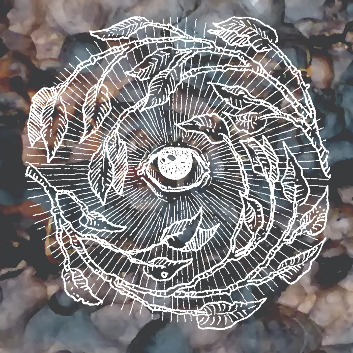 Sasq-Witching Hour (Alex, part two)