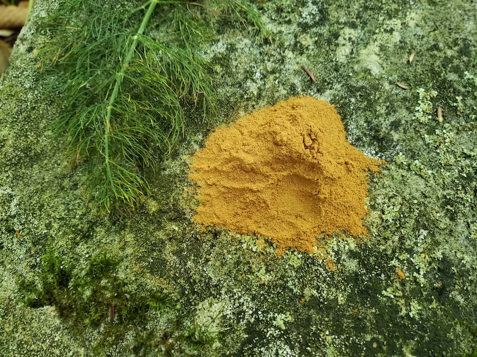 Paw print in the cinnamon
