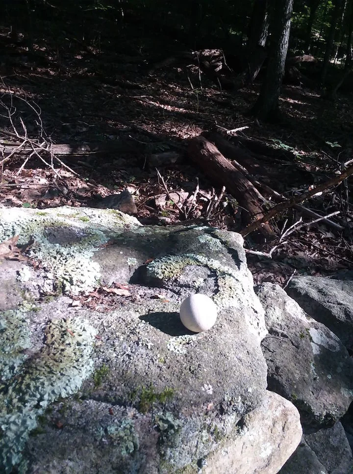 The cedar ball, moved to the edge of the rock