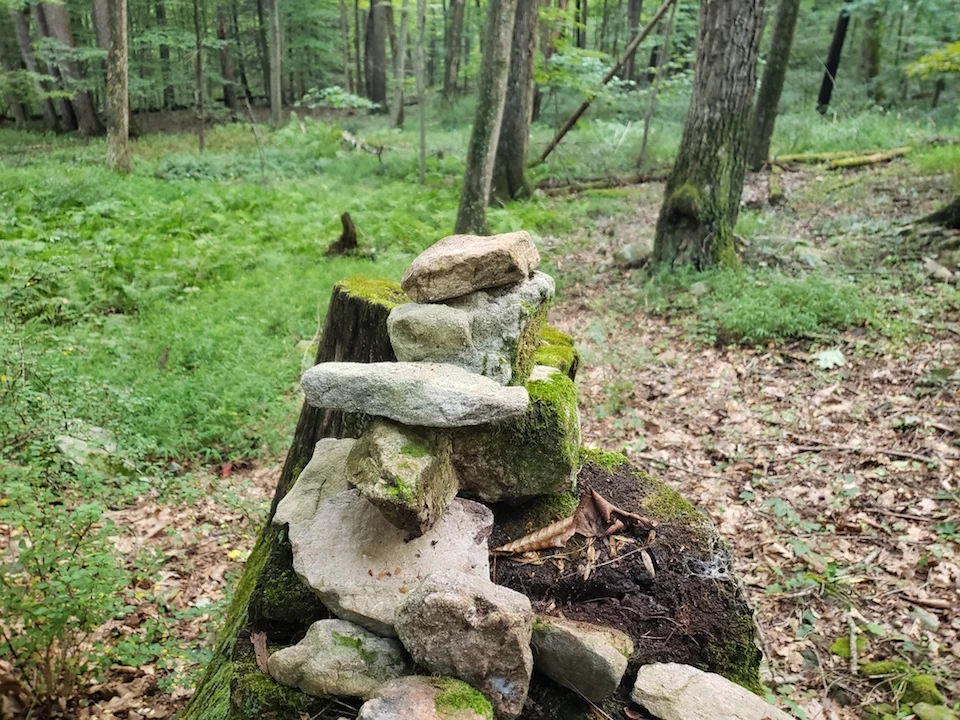 Campsite cairn, rebuilt.